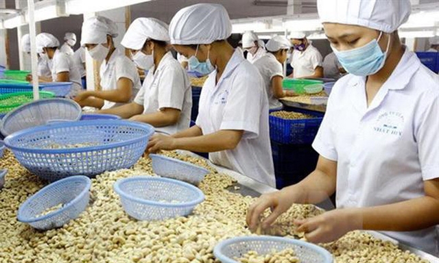 Giá nhân điều XK ước giảm 6,3% khiến kim ngạch ước giảm nhẹ 0,7% dù lượng ước tăng 5,7%