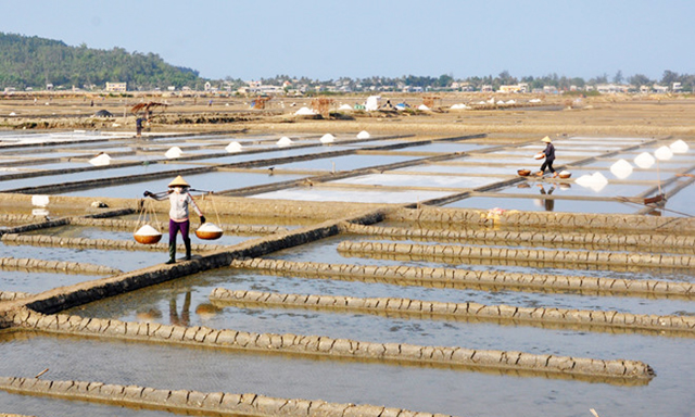 HTX đang đẩy mạnh phát triển dịch vụ thu mua, chế biến muối