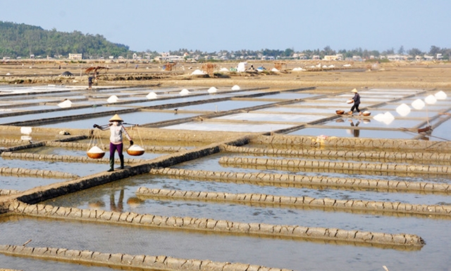 HTX đang đẩy mạnh phát triển dịch vụ thu mua, chế biến muối