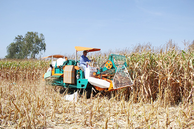 Các HTX đang tạo chuyển biến lớn trong phát triển nông nghiệp huyện Ba Tri