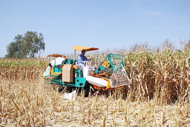 Các HTX đang tạo chuyển biến lớn trong phát triển nông nghiệp huyện Ba Tri