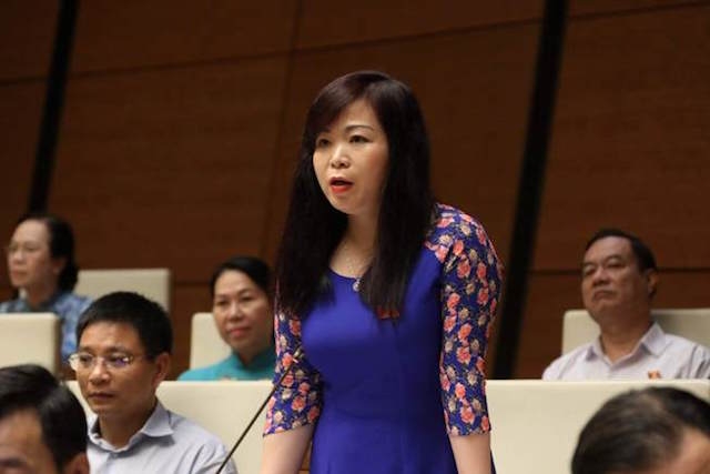 Đại biểu Vũ Thị Lưu Mai (Hà Nội)