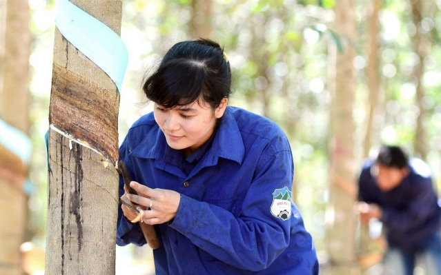 HNG đã giảm gần 20% trong tháng 10