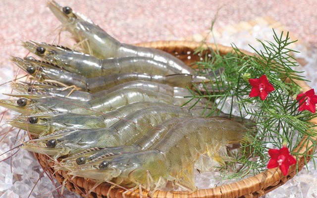 Nhật Bản hiện là thị trường chiếm 17,3% tổng giá trị xuất khẩu tôm Việt Nam.