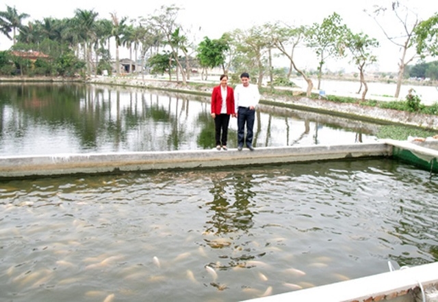 Nuôi thủy sản sạch giúp nâng cao giá trị sản phẩm và bảo vệ môi trường