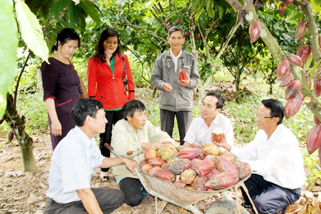 Ea Kar hiện có 30 HTX, 11 THT hoạt động có hiệu quả