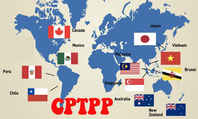 CPTPP đã trụ vững và đạt được cột mốc đáng khích lệ