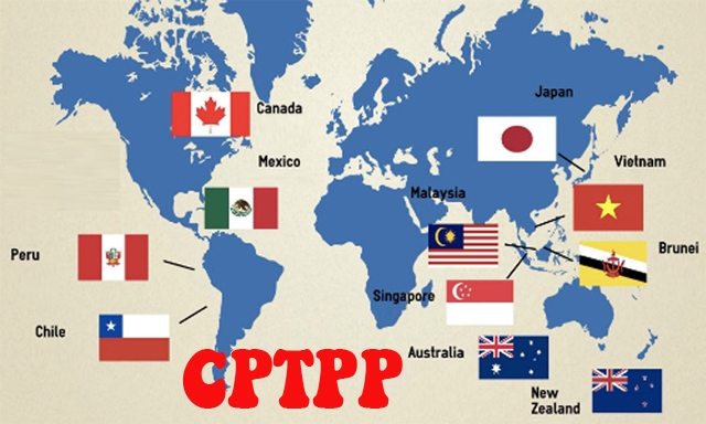 CPTPP đã trụ vững và đạt được cột mốc đáng khích lệ