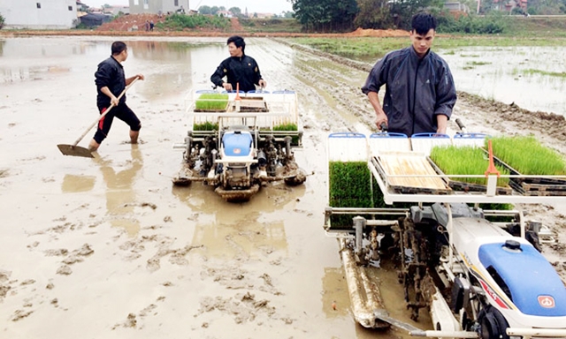 HTX đang đẩy mạnh cơ giới hóa gắn với ATLĐ