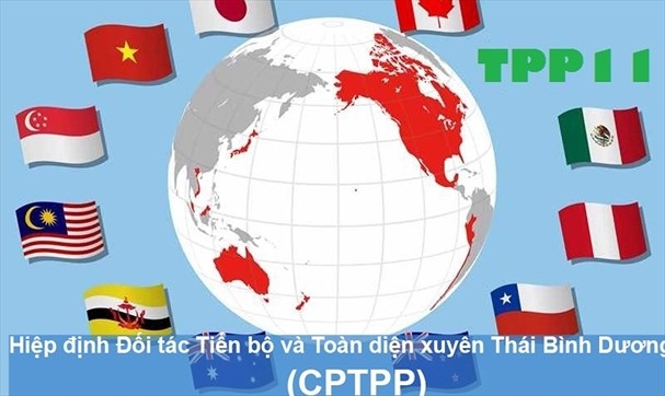 Các nước tham gia ký kết CPTPP (Nguồn: Internet)