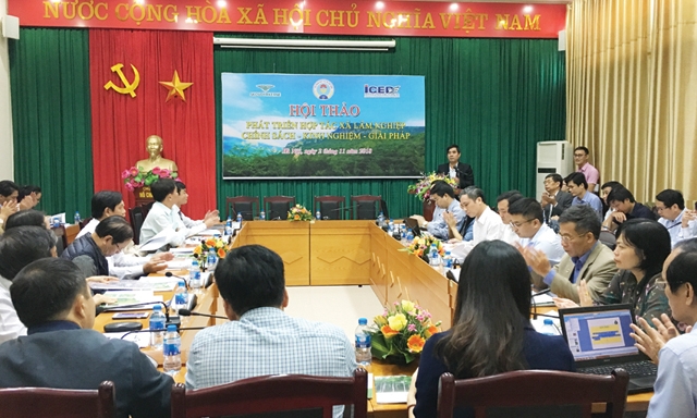 Toàn cảnh hội thảo Phát triển HTX Lâm nghiệp - chính sách, kinh nghiệm và giải pháp