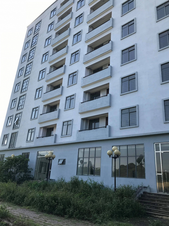 Cây cỏ mọc lút lối đi