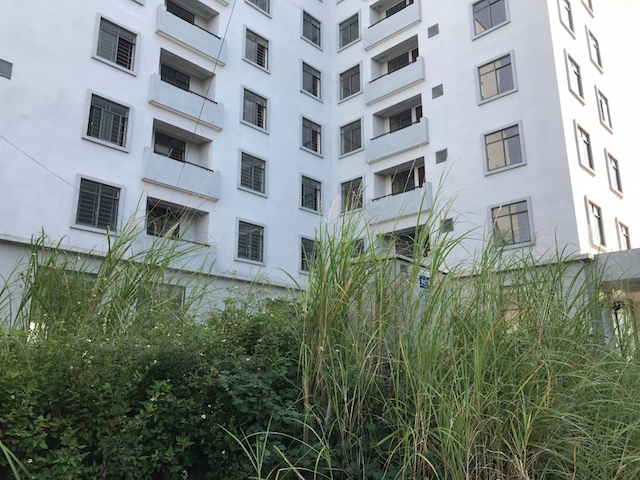 Một vài chỗ, cây cỏ mọc lút đầu người