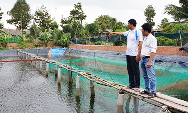 Giám đốc Cao Văn Khánh (trái) giới thiệu mô hình nuôi thủy sản của HTX