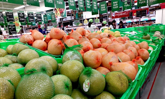 Trái cây Việt đang có nhiều cơ hội gia tăng XK trong 2 tháng cuối năm