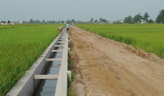 Công tác thủy lợi giúp quá trình canh tác của người dân thuận lợi hơn