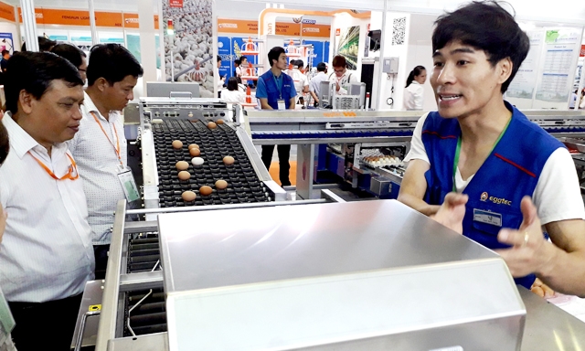Chi phí sản xuất trứng sẽ giảm khoảng 25 – 30% nhờ công nghệ quản lý chuỗi cung ứng