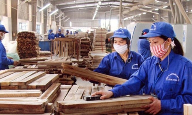 Với Hiệp định VPA/FLEGT, 100% gỗ XK vào EU phải là gỗ hợp pháp