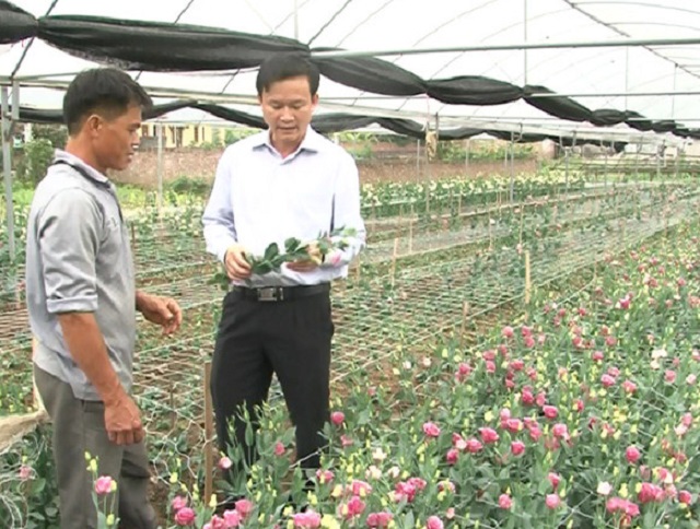 Ứng dụng thành công khoa học kỹ thuật giúp HTX phát triển bền vững