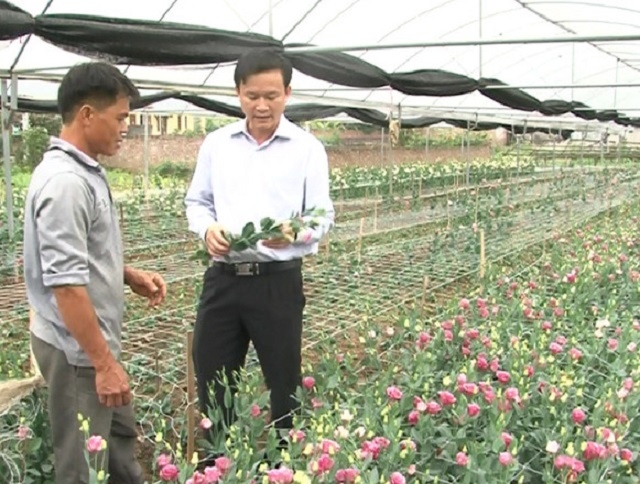 Ứng dụng thành công khoa học kỹ thuật giúp HTX phát triển bền vững