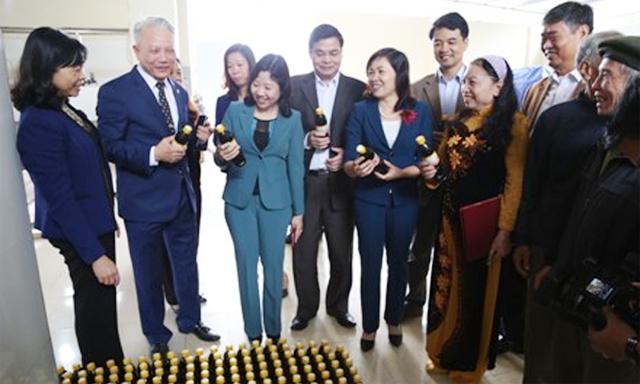 HTX tổ chức giới thiệu, ra mắt sản phẩm Xì dầu Tràng An