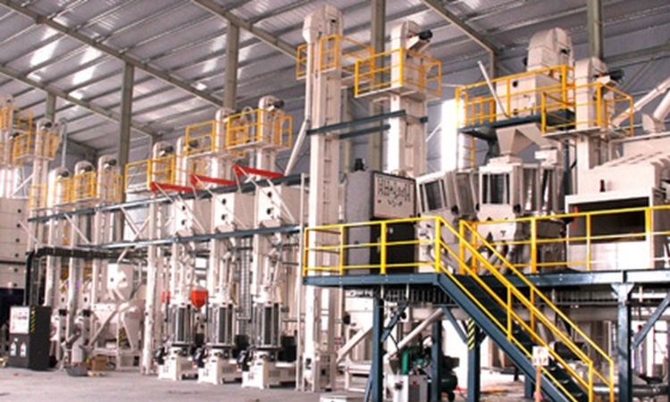 Tập đoàn SunRice mua lại nhà máy chế biến gạo của Việt Nam