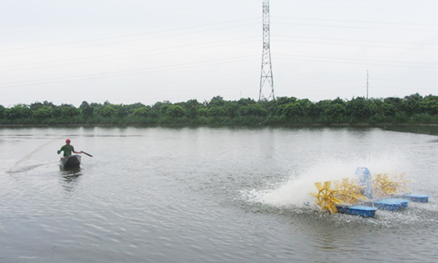 Sử dụng máy quạt nước để cung cấp oxy cho cá