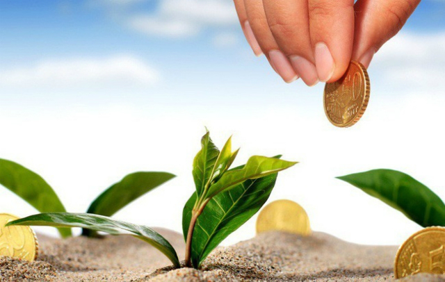 Năng lượng Vinaconex tạm ứng cổ tức bằng tiền tỷ lệ 15%