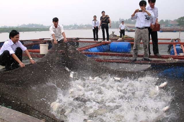 Các thành viên đã gắn sản xuất với bảo vệ môi trường