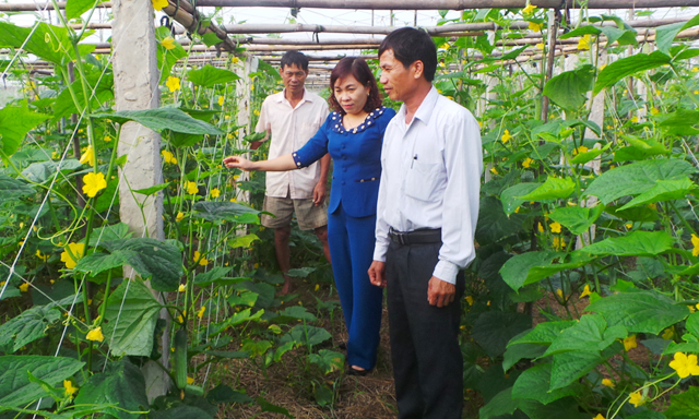 Liên minh HTX tỉnh Ninh Bình đẩy mạnh phát triển kinh tế hợp tác