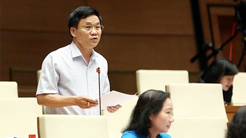 Đại biểu Trần Văn Mão (Đoàn Nghệ An)