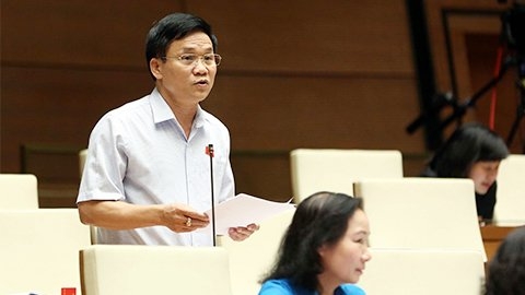 Đại biểu Trần Văn Mão (Đoàn Nghệ An)