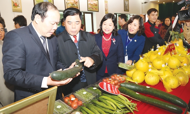 Lãnh đạo Liên minh HTX Việt Nam, UBND tỉnh và Liên minh HTX tỉnh tham quan các sản phẩm tại hội nghị kết nối cung cầu