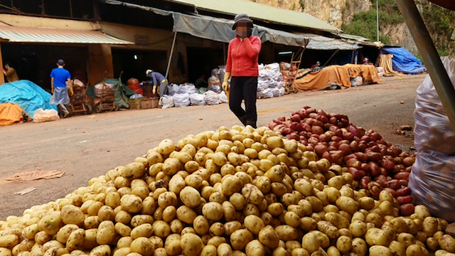 Khoai tây Trung Quốc đội lốt khoai tây Đà Lạt (Ảnh: Internet)