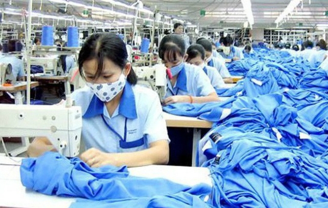 TCM cùng nhóm cổ phiếu dệt may, thủy sản đã có khoảng thời gian “làm mưa, làm gió” trên thị trường chứng khoán