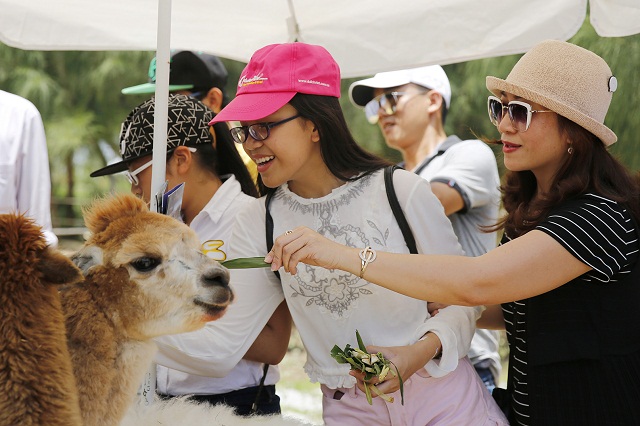 Công viên động vật hoang dã là điểm khám phá yêu thích của các thiên thần nhỏ