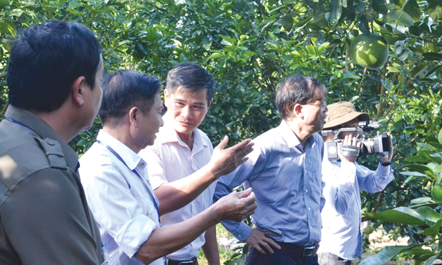 Để phát triển HTX, cần lắm lực lượng cán bộ trẻ, có tri thức, có trình độ chuyên môn cao