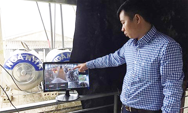 Hệ thống camera để giám sát, theo dõi tình hình từng chuồng lợn của HTX