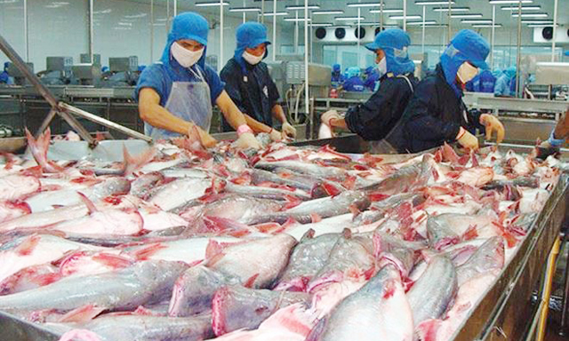 Hiện nay, ngành cá tra Việt Nam phụ thuộc lớn vào thị trường Trung Quốc, được xem là rủi ro lớn.