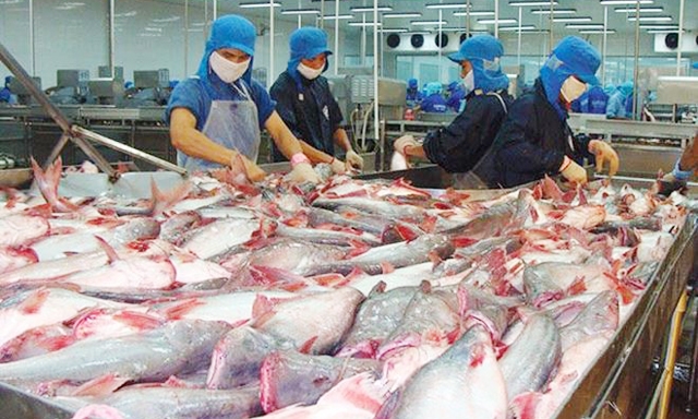 Hiện nay, ngành cá tra Việt Nam phụ thuộc lớn vào thị trường Trung Quốc, được xem là rủi ro lớn.