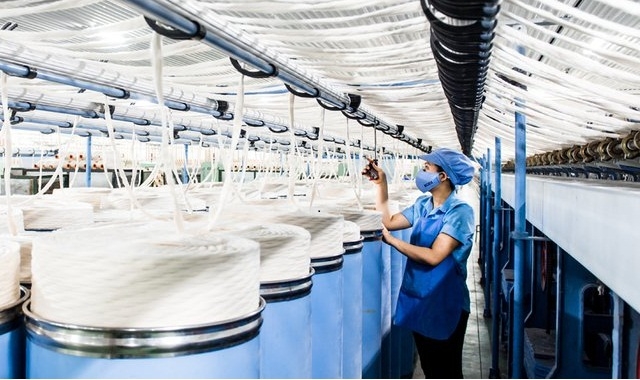 Kể từ đầu tháng 11 tới nay, cổ phiếu FTM đã liên tiếp giảm từ mức giá 15.400 đồng/cp