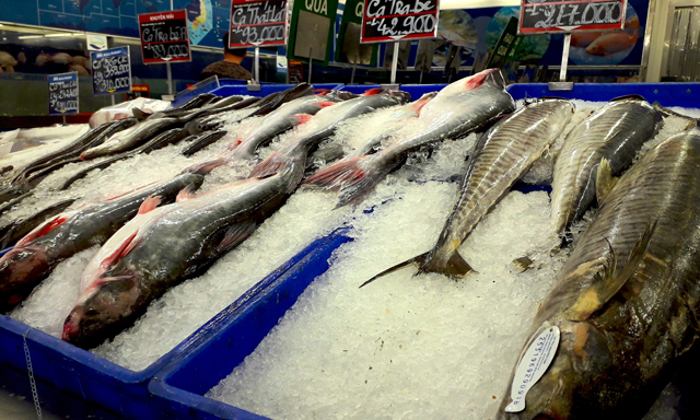 Cần tránh phân biệt nuôi trồng thuỷ sản để XK khác với tiêu thụ nội địa