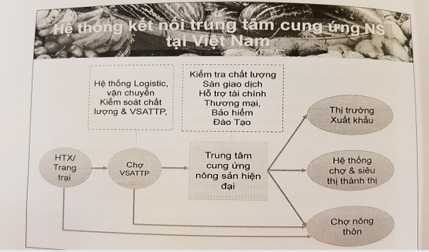 Sơ đồ hệ thống kết nối trung tâm cung ứng nông sản tại Việt Nam