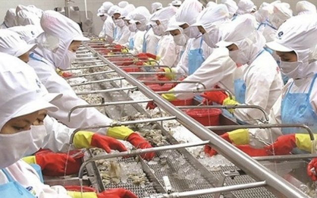 MPC đang có phản ứng hồi phục tích cực và thoát khỏi vùng giảm giá ngắn hạn