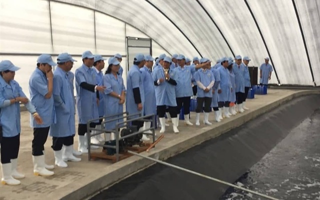 Cơ sở sản xuất giống tôm sạch của Việt Úc (Ảnh Internet)