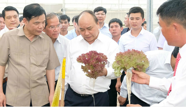 Cần hỗ trợ xây dựng thương hiệu, chỉ dẫn địa lý cho các sản phẩm nông nghiệp chủ lực quốc gia