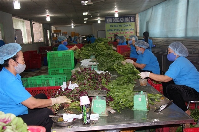 Sơ chế nông sản giúp giảm áp lực môi trường tại những điểm thu mua, tiêu thụ