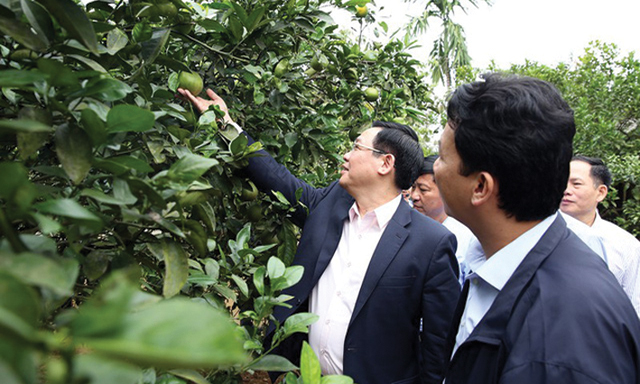 Phó Thủ tướng Vương Đình Huệ thăm mô hình sản xuất tại Nam Trà
