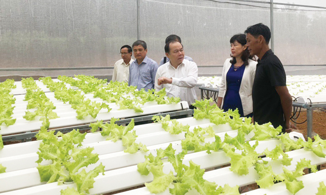 Chủ tịch Nguyễn Ngọc Bảo và Đoàn công tác thăm HTX Rau củ quả Hòa Vang. Ảnh Đình Long.