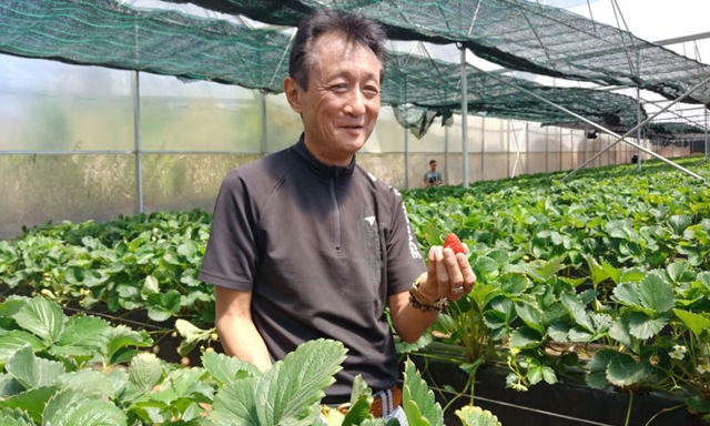 Người Nhật trồng rau ở Lâm Đồng